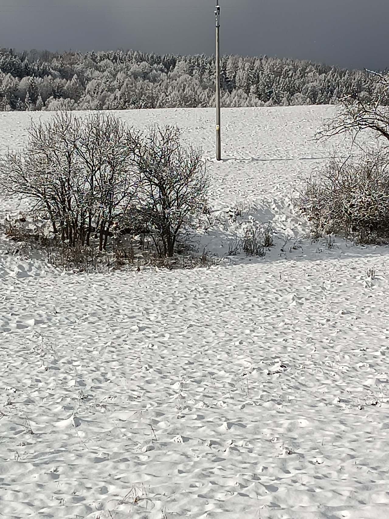 Ubytovanie U babičky - Velké Losiny - Šumpersko