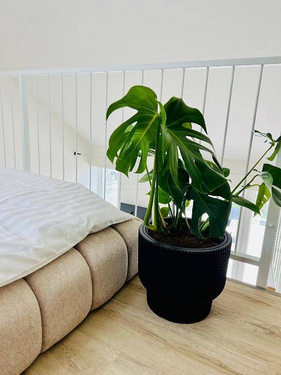 apartmán