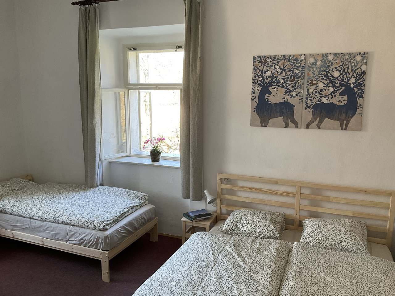 Apartmán Ekonomy - Krásné - Východné Čechy