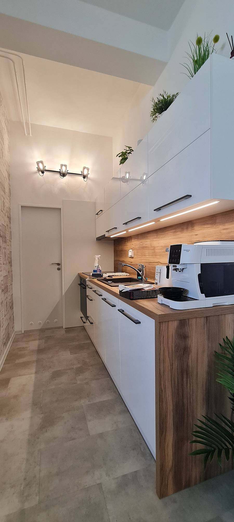 Apartmán mezi stromy - Krnov - Bruntálsko