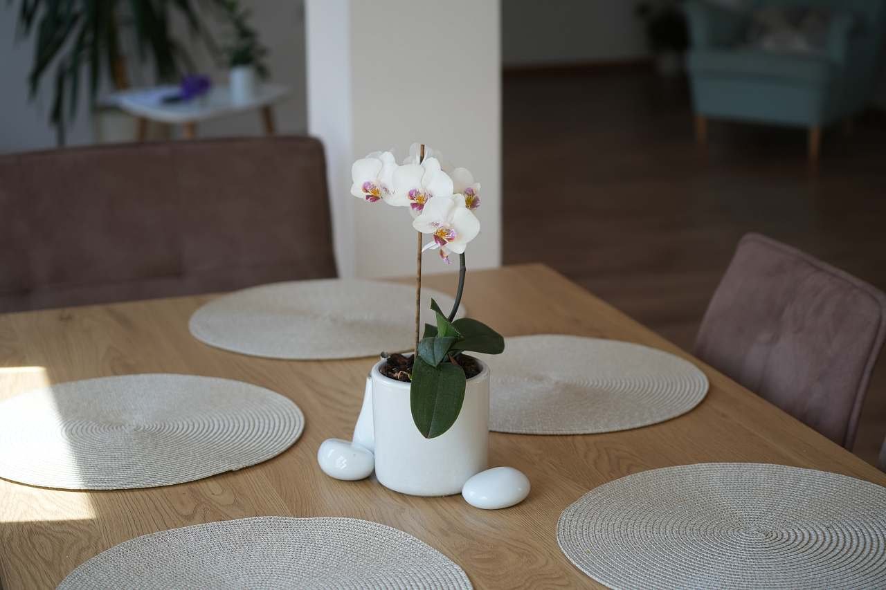 Apartmán pro skupinu