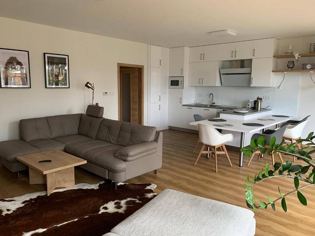 Apartmán se saunou u Lipna