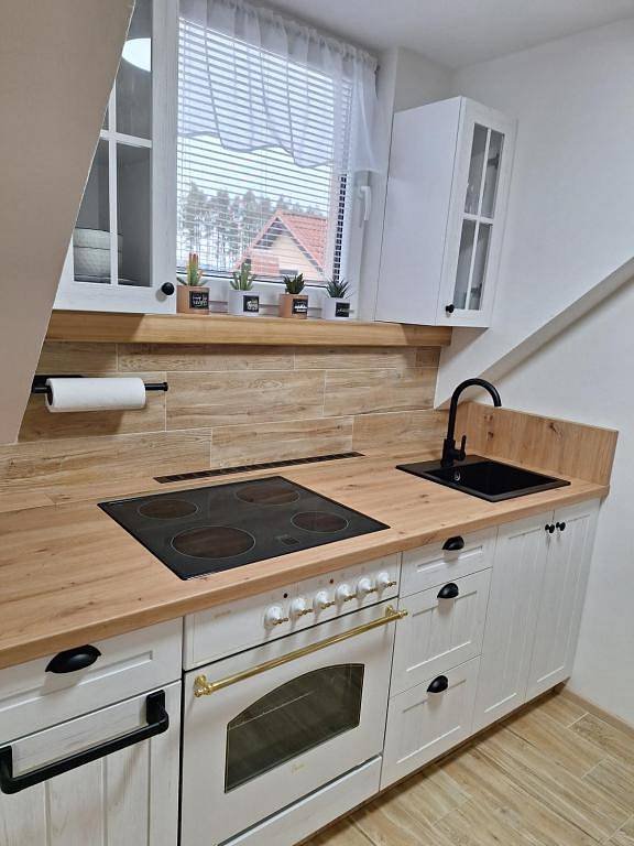 Apartmán U Křivánků