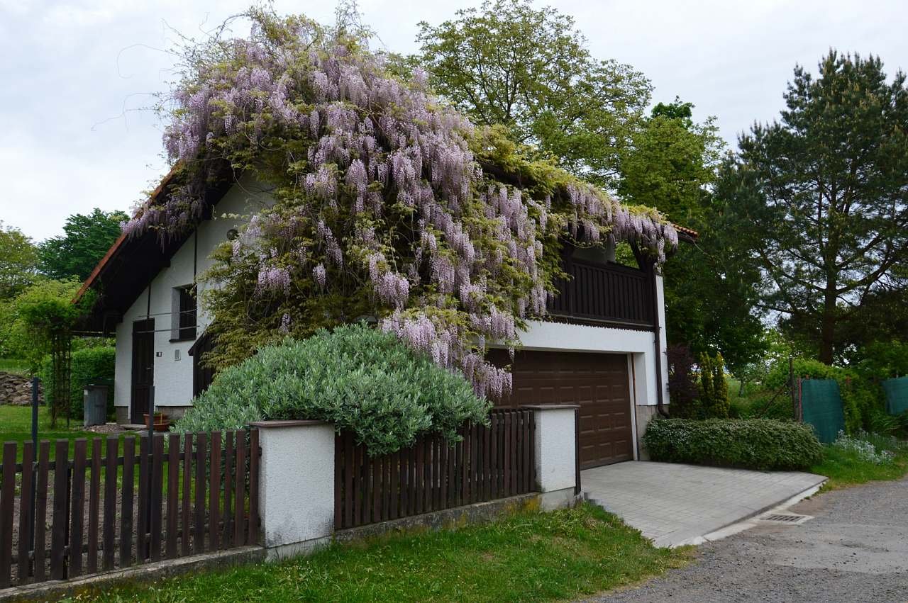 Apartmán na pavlači - Vyskeř - Středné Čechy