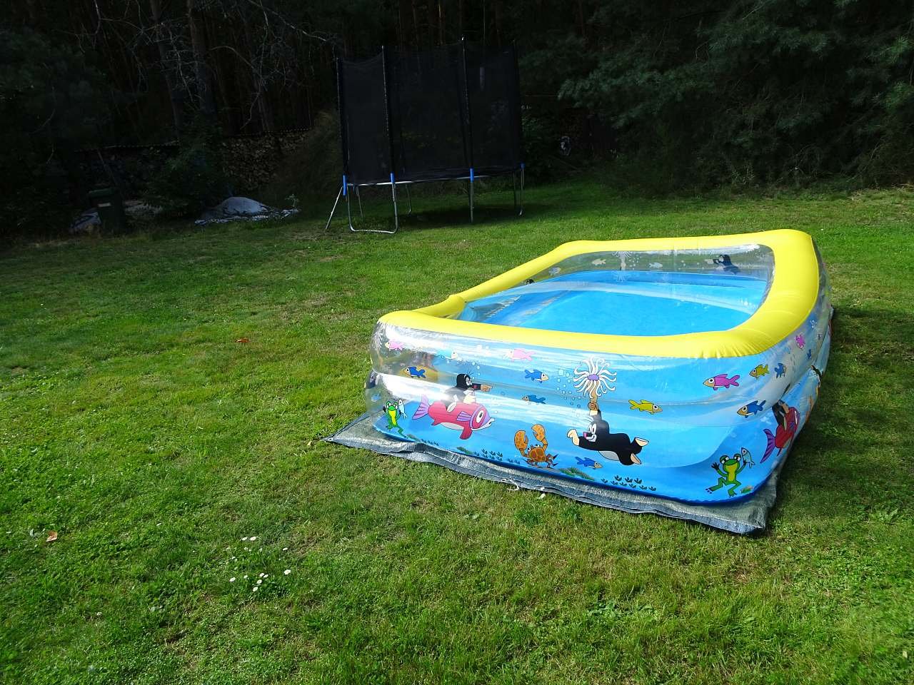 Bazén a trampolína na zahradě