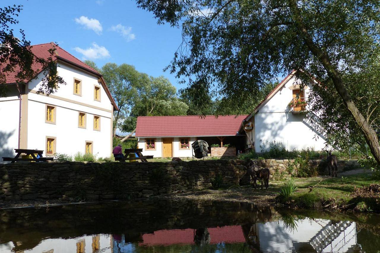 BioFarma Dolejší mlýn - Kamberk - Toulava