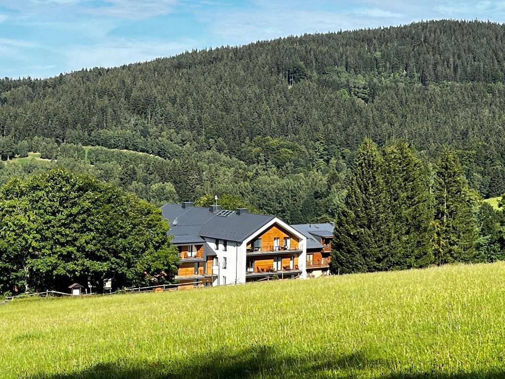 Apartmán Anna Viktoria - Hojsova Stráž - Šumava