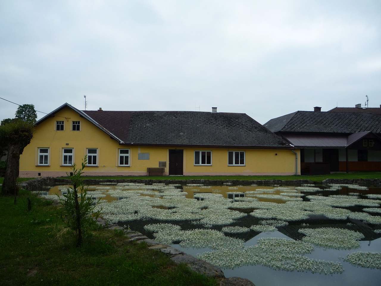 Apartmán - Vepřová - Žďársko