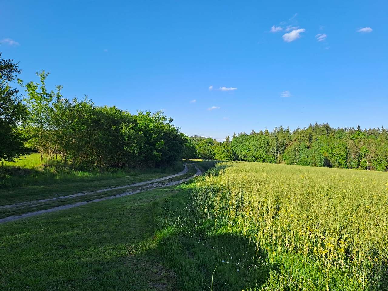 cesta za chalupou k rybníku