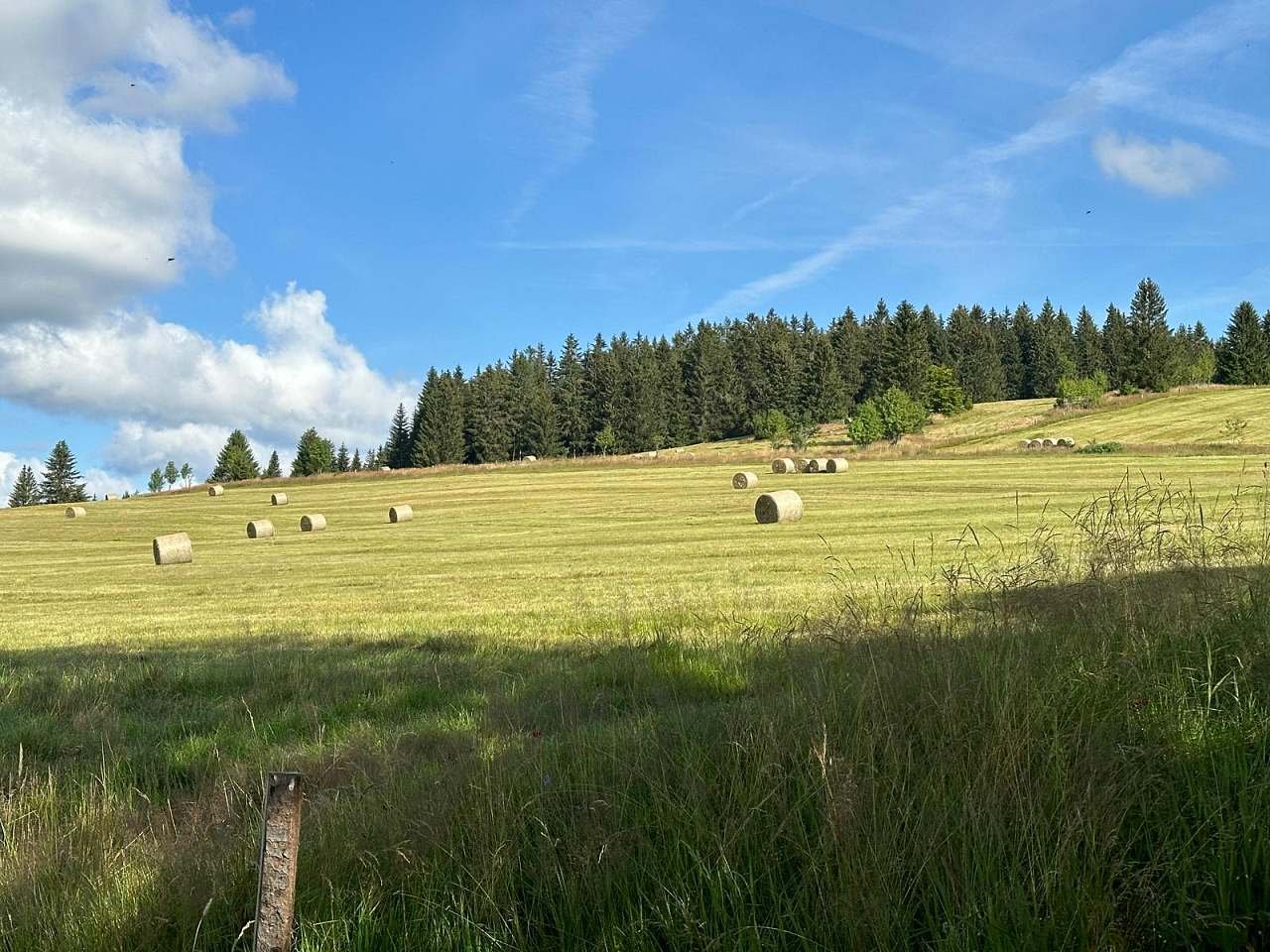 Chalet Galla - výhled na Jelení horu