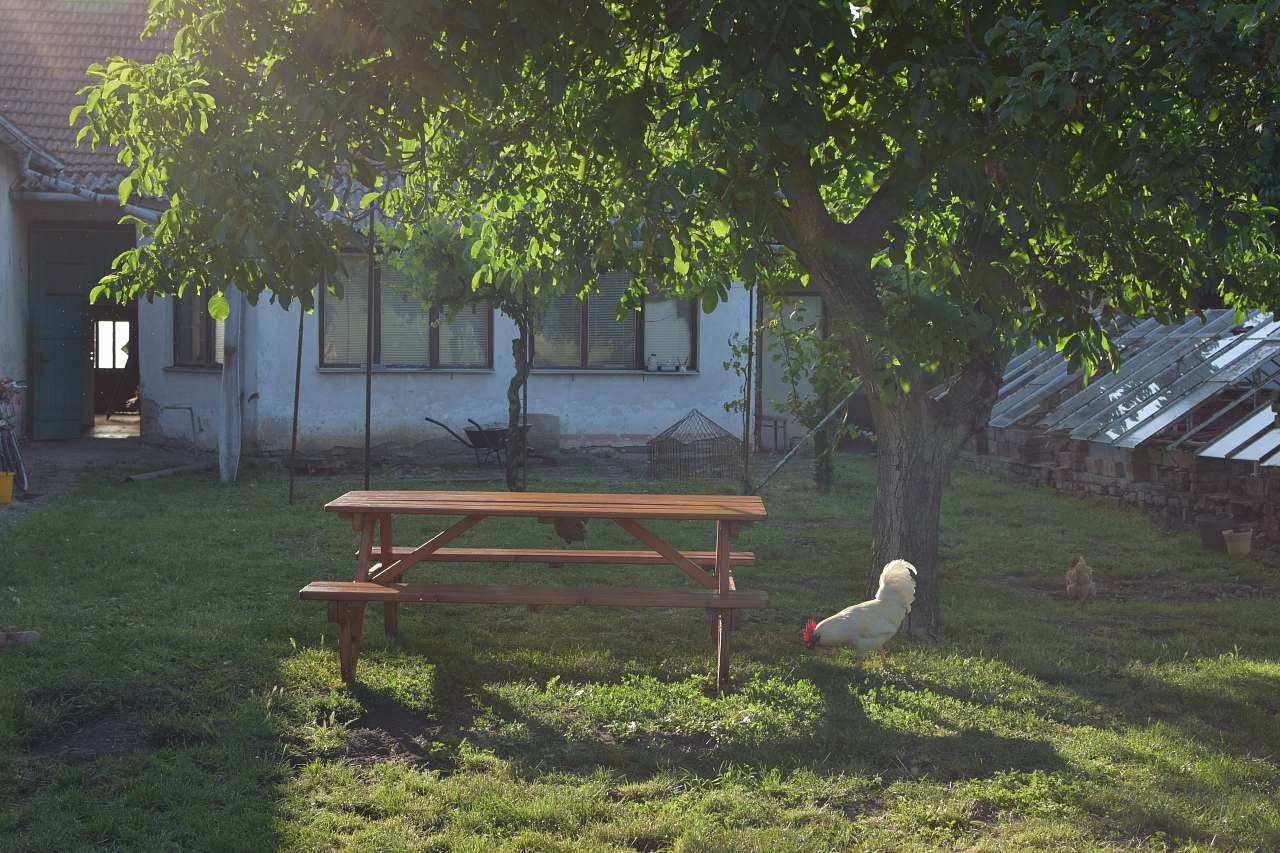 Chalupa Žofka pronájem Brod nad Dyjí - Dvorek domu