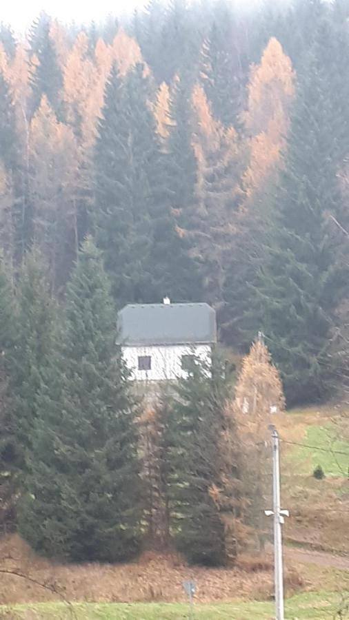 Chata je umístěna v lese