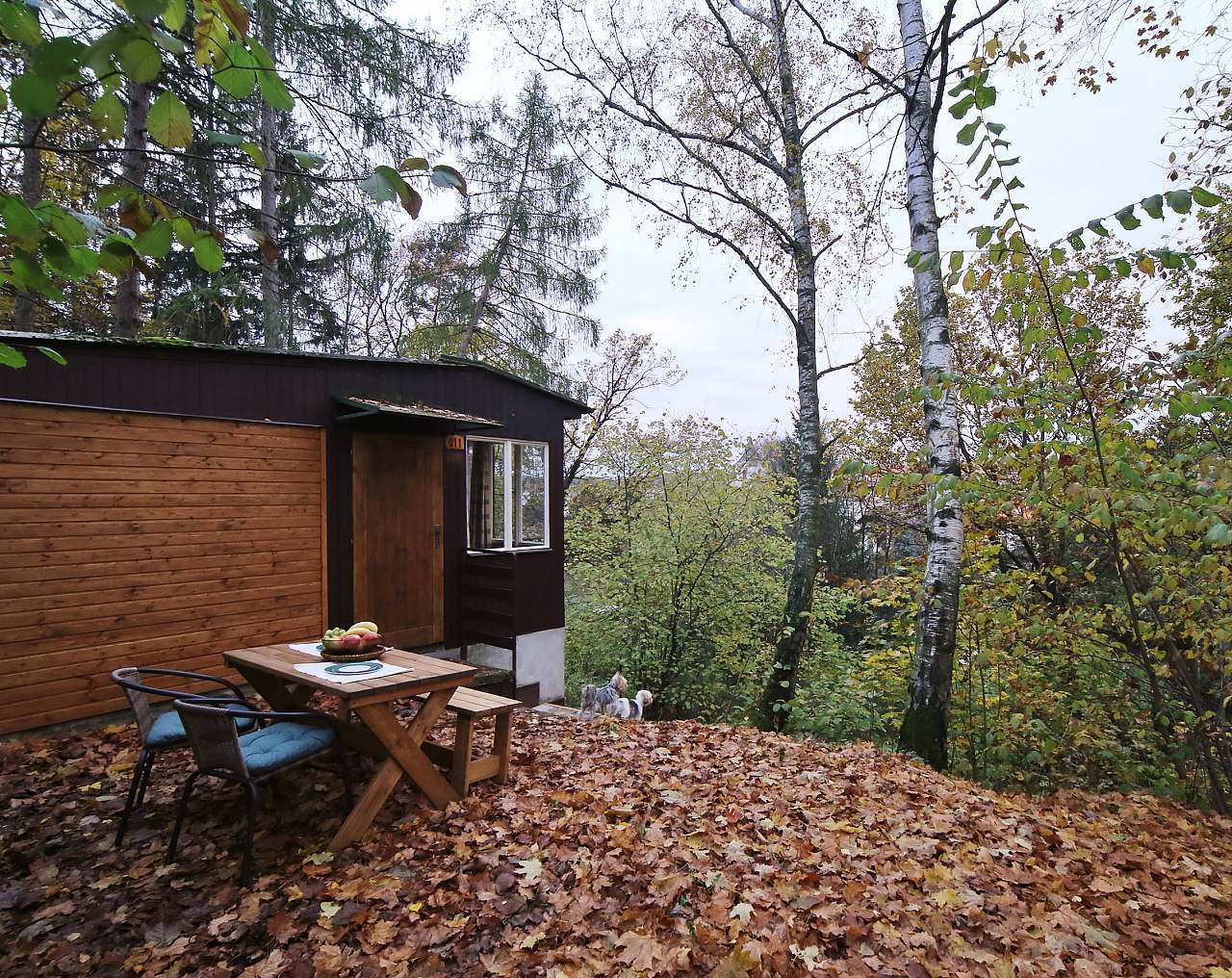 chata na podzim