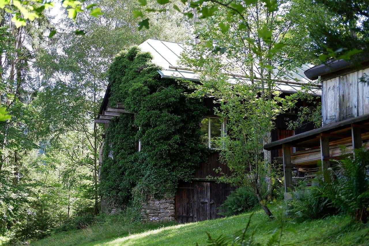 Chata v Královském Hvozdu - Hamry - Šumava