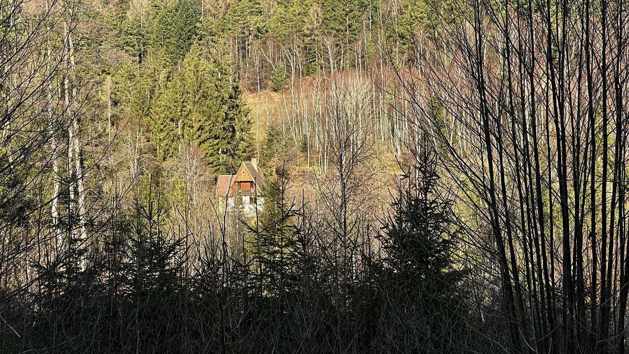 Na samotě u lesa - Doubrava - Šumava