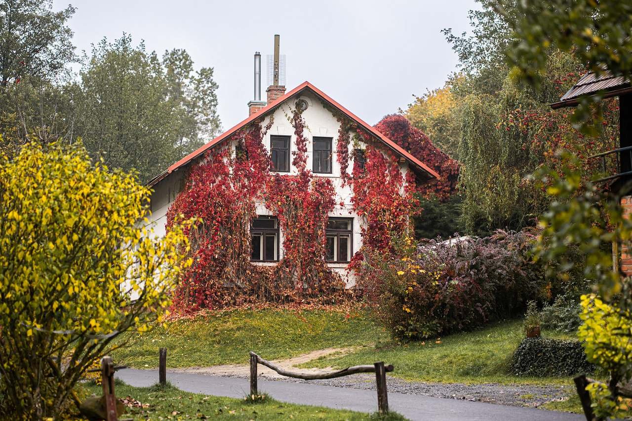 Desítka - Kacanovy - Český raj