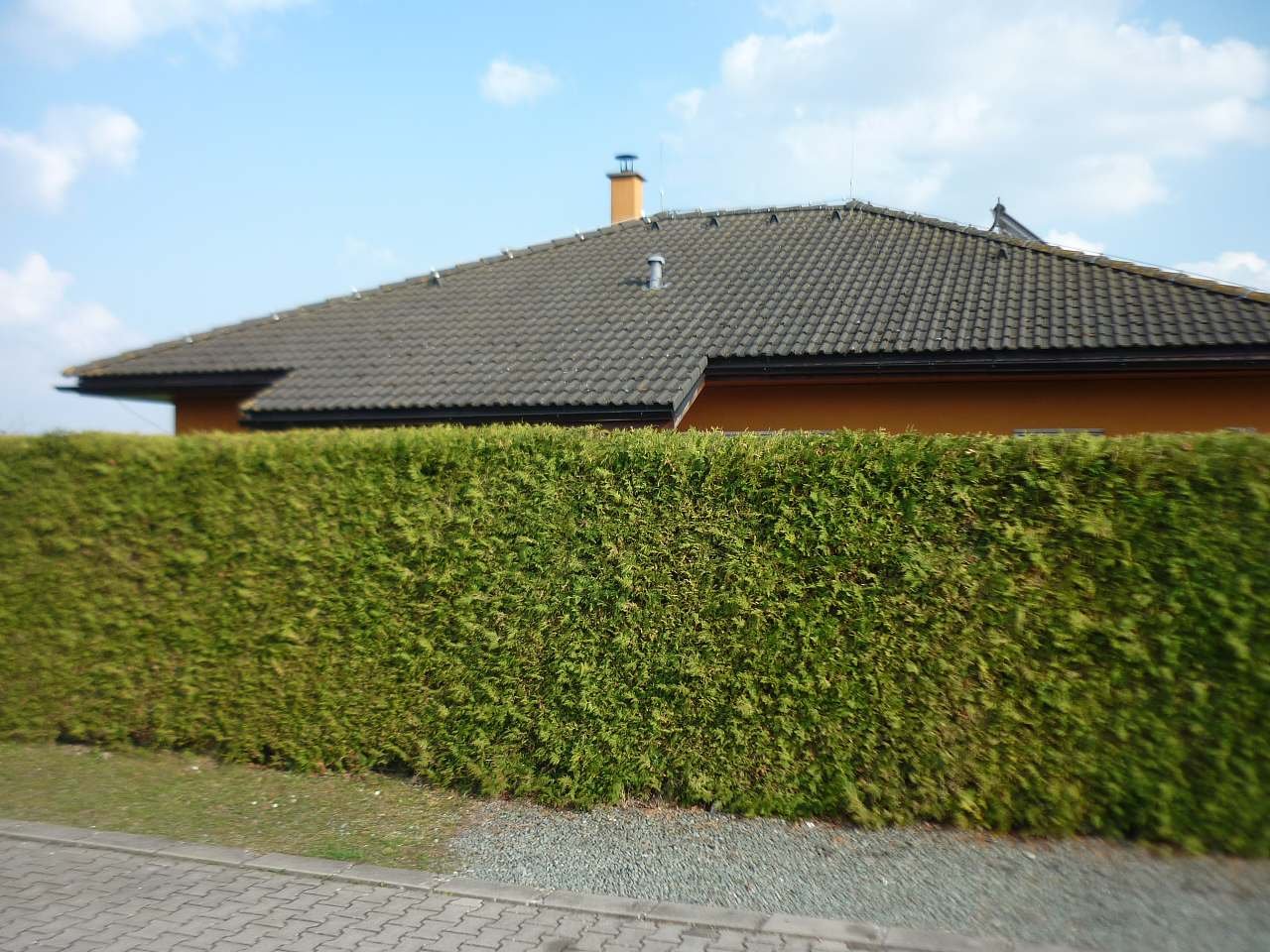 Dům