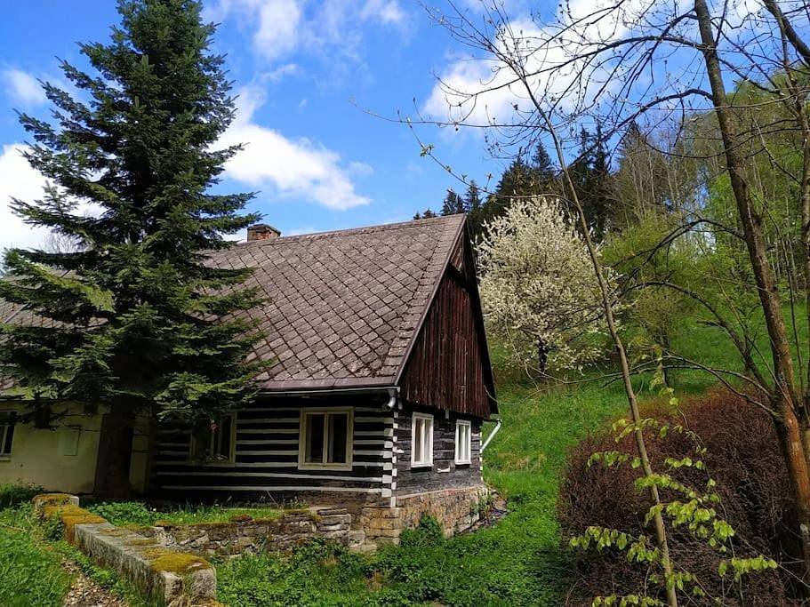 Dom pod Skalami - Skalka