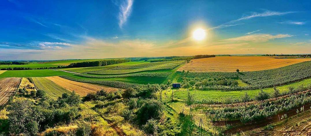 Rodinný apartmán Hrušovánek - Hrušovany nad Jevišovkou - Južná Morava