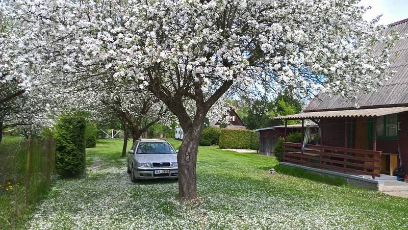 Chata Tři břízy - Koloděje nad Lužnicí