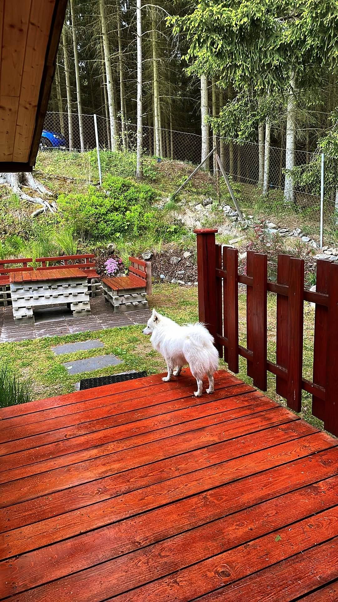 i pro pejsky fajn dovolená :-)