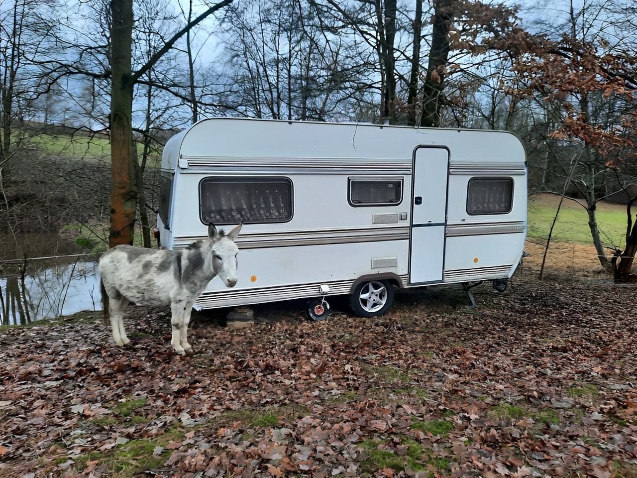 Karavan v přírodě - ubytování Hradek nad Nisou