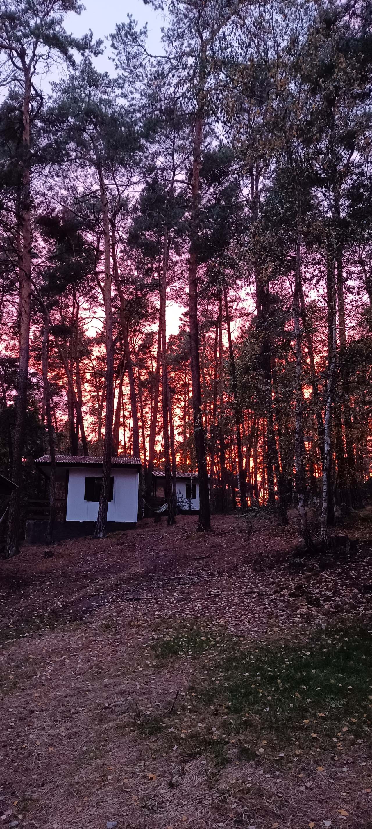 Kemp u Hedviky, chata s kuchyňským koutem a manželskou postelí a palandou.