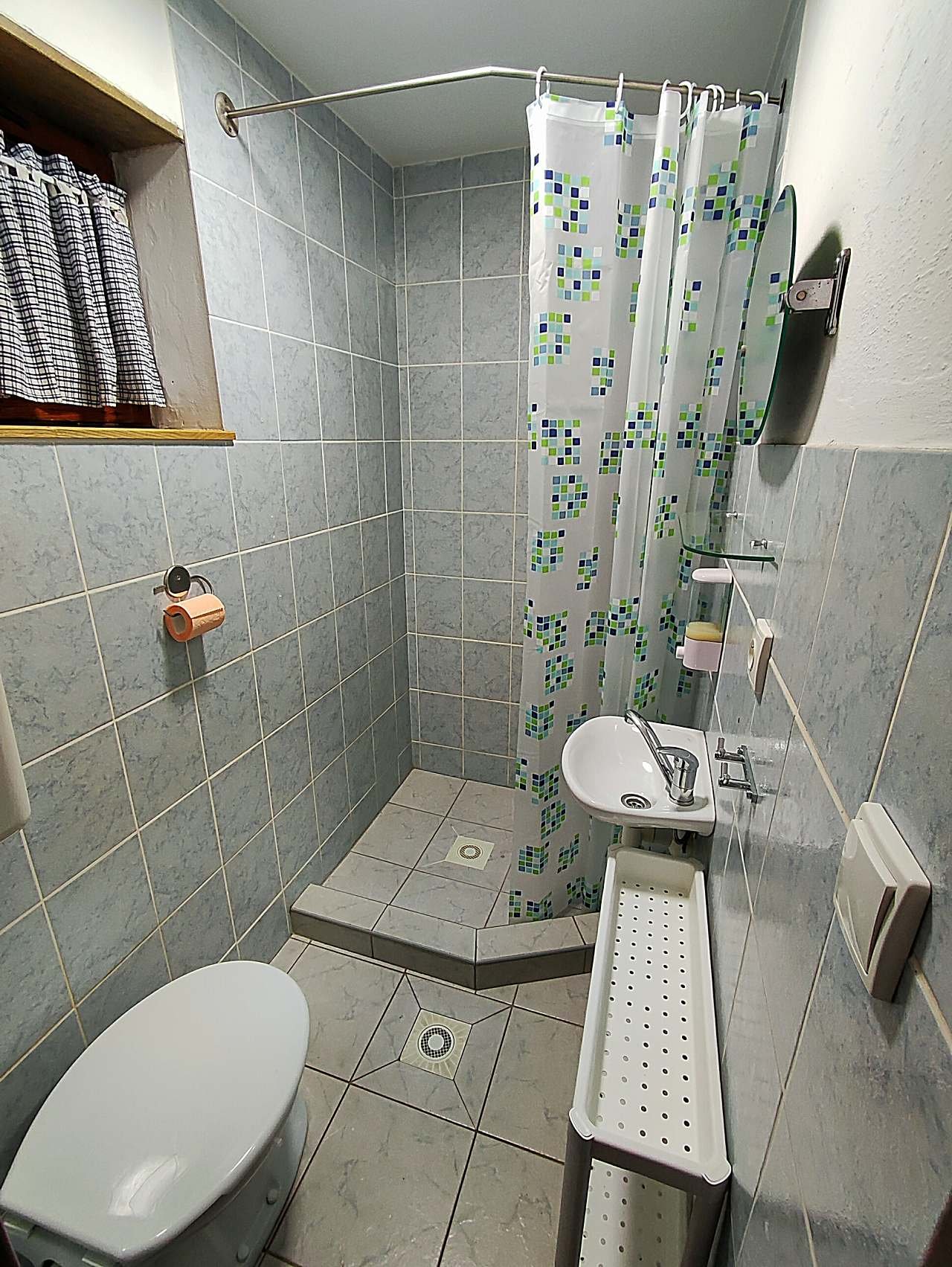 Koupelna se sprchovým koutkem a záchodem
