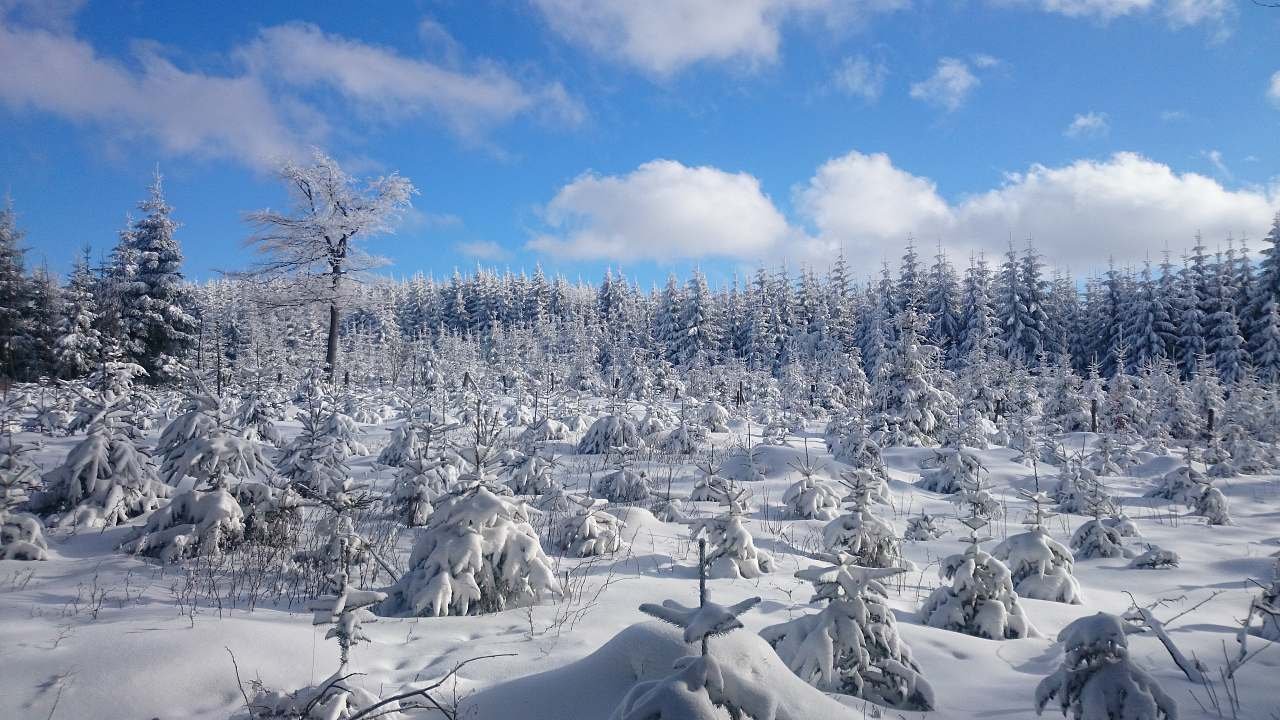 krajina na hřebenu