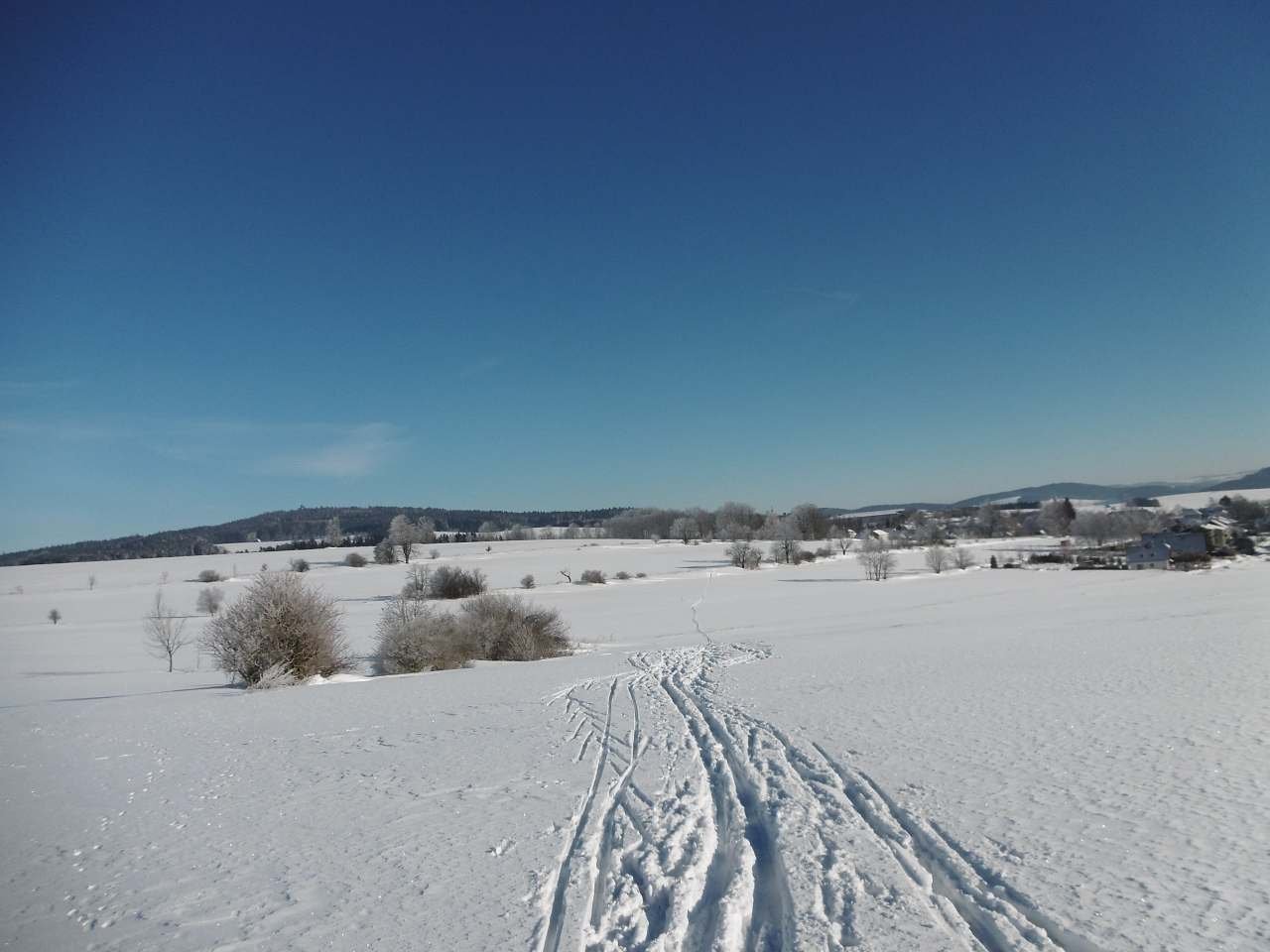 Krajina u Sněžného