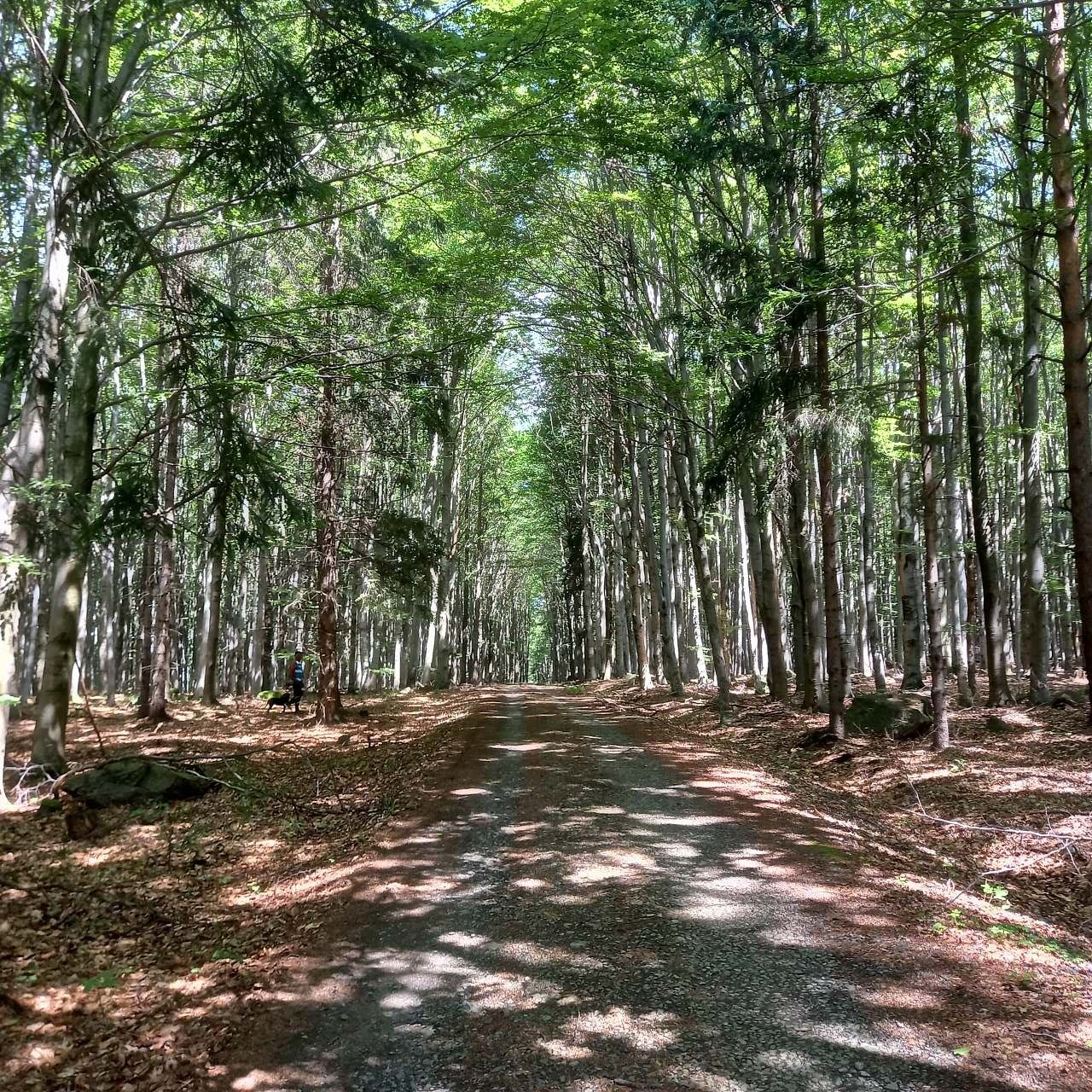 Mobilní dom Vyhlídka - Oudoleň - Vysočina