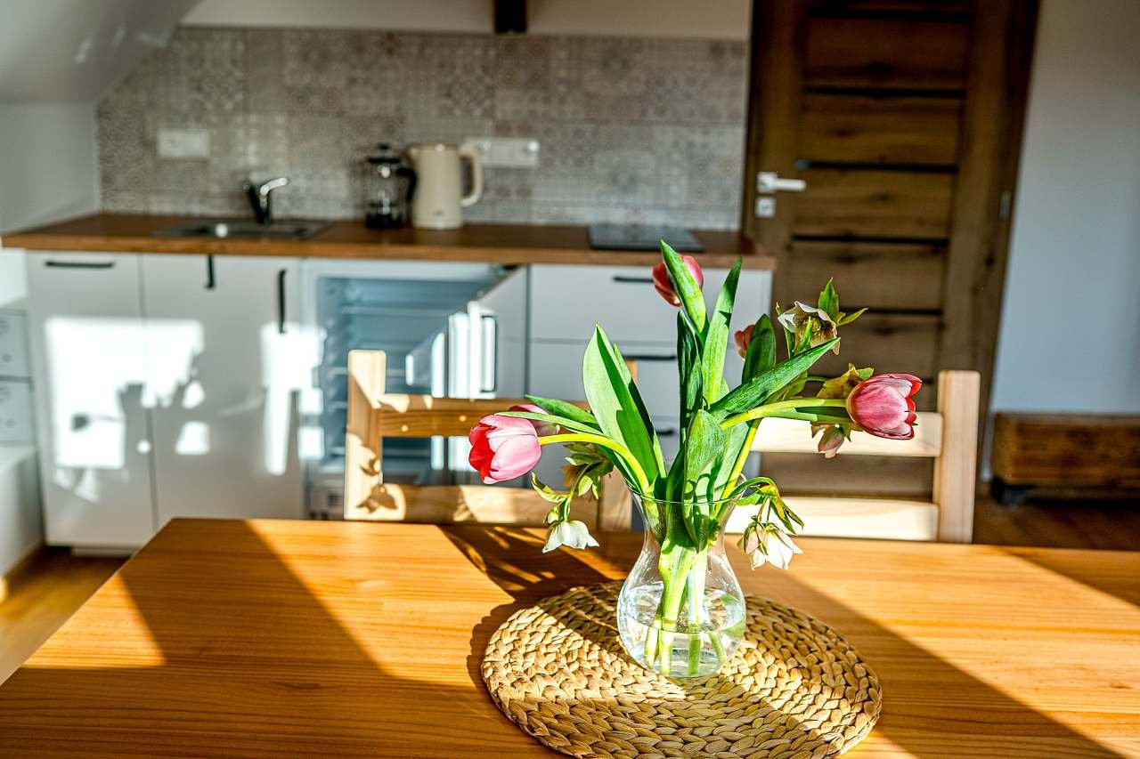 Kuchyňský kout, apartmán 1