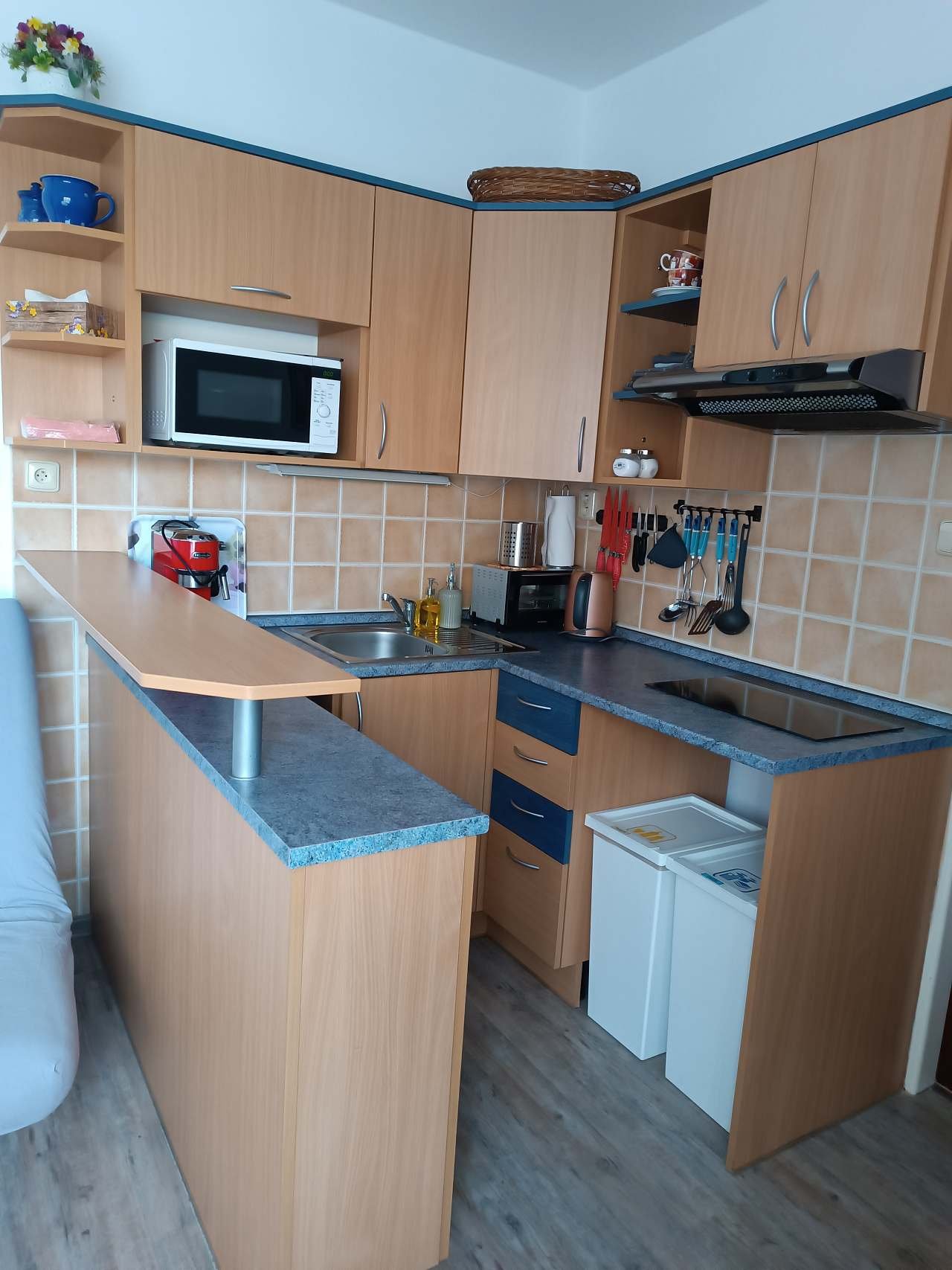 Kuchyňský kout, lednice, mikrovlnka, kávovar, varná konvice, koše na tříd.odpad