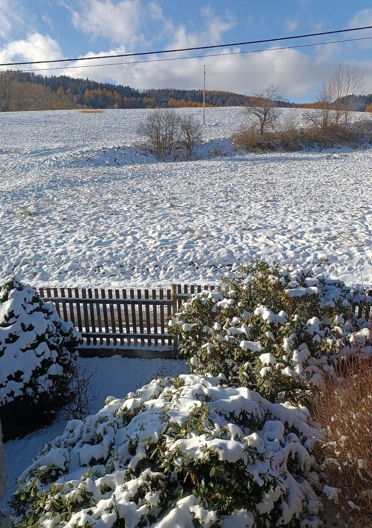 Ubytovanie U babičky - Velké Losiny - Šumpersko