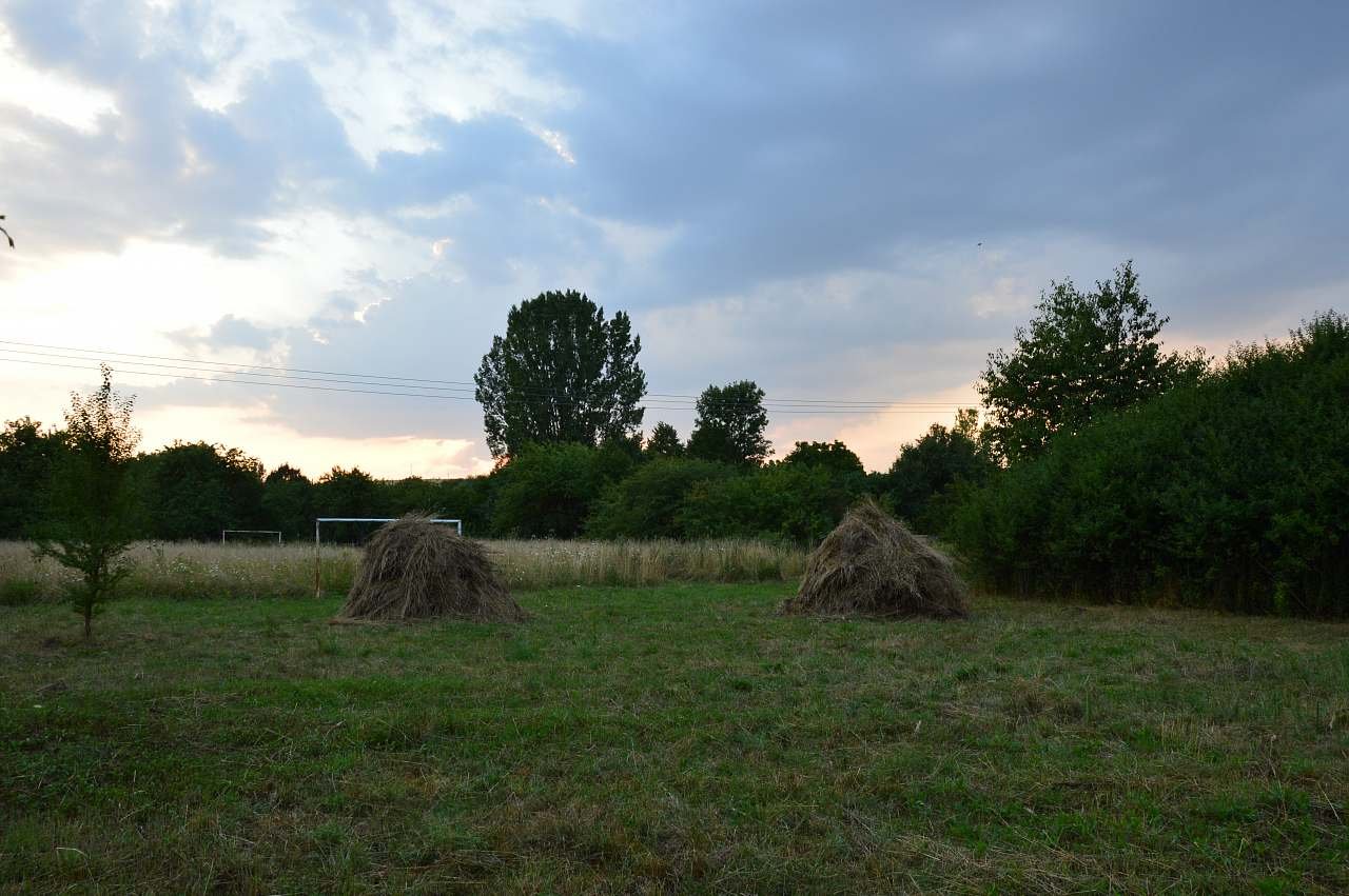 Maringotka na Boršovkých lúkách