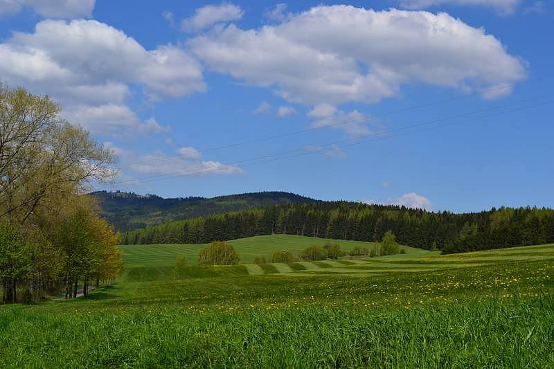 Chata U Liščího potoka - Janovičky - Broumovsko