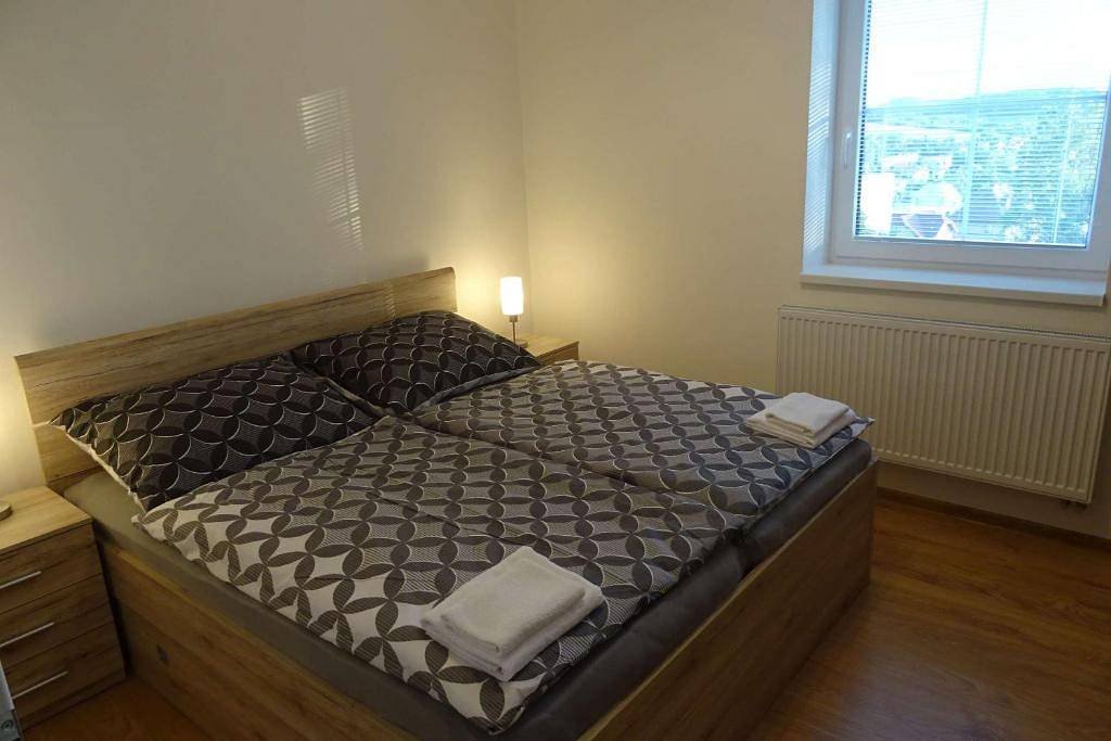 Apartmán Borůvka - Česká Kamenice - Kokorínsko