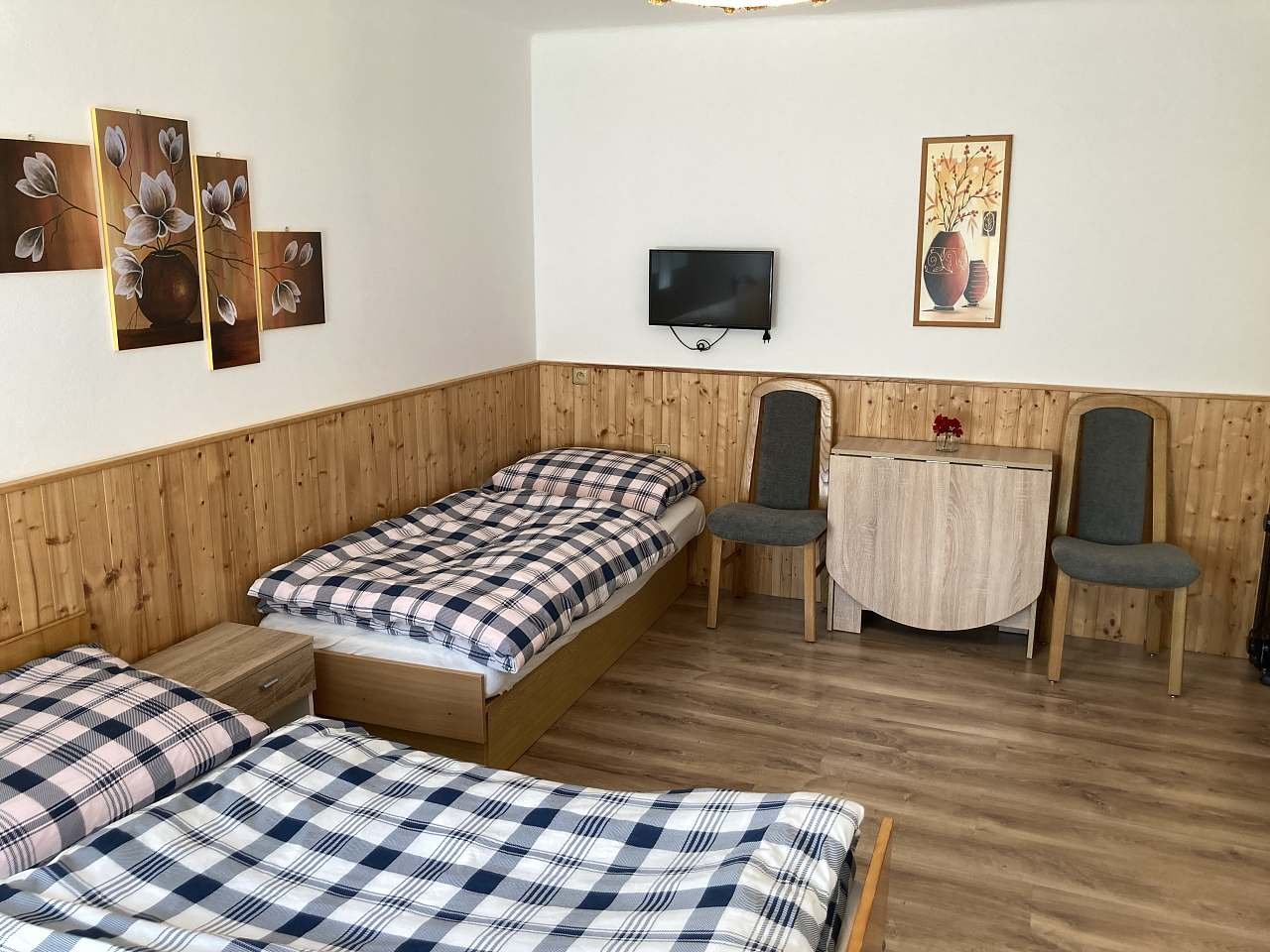 Apartmán u rybníčku - Otín