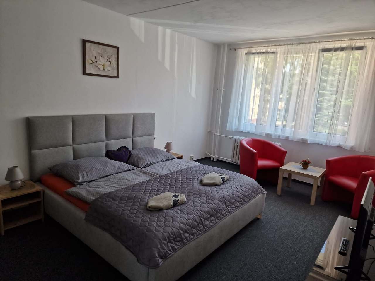 Apartmány U Petra - Stará Role - Krušné hory