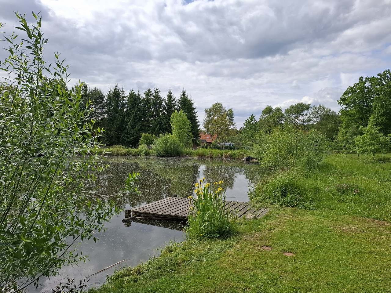 Lužnice foto 11
