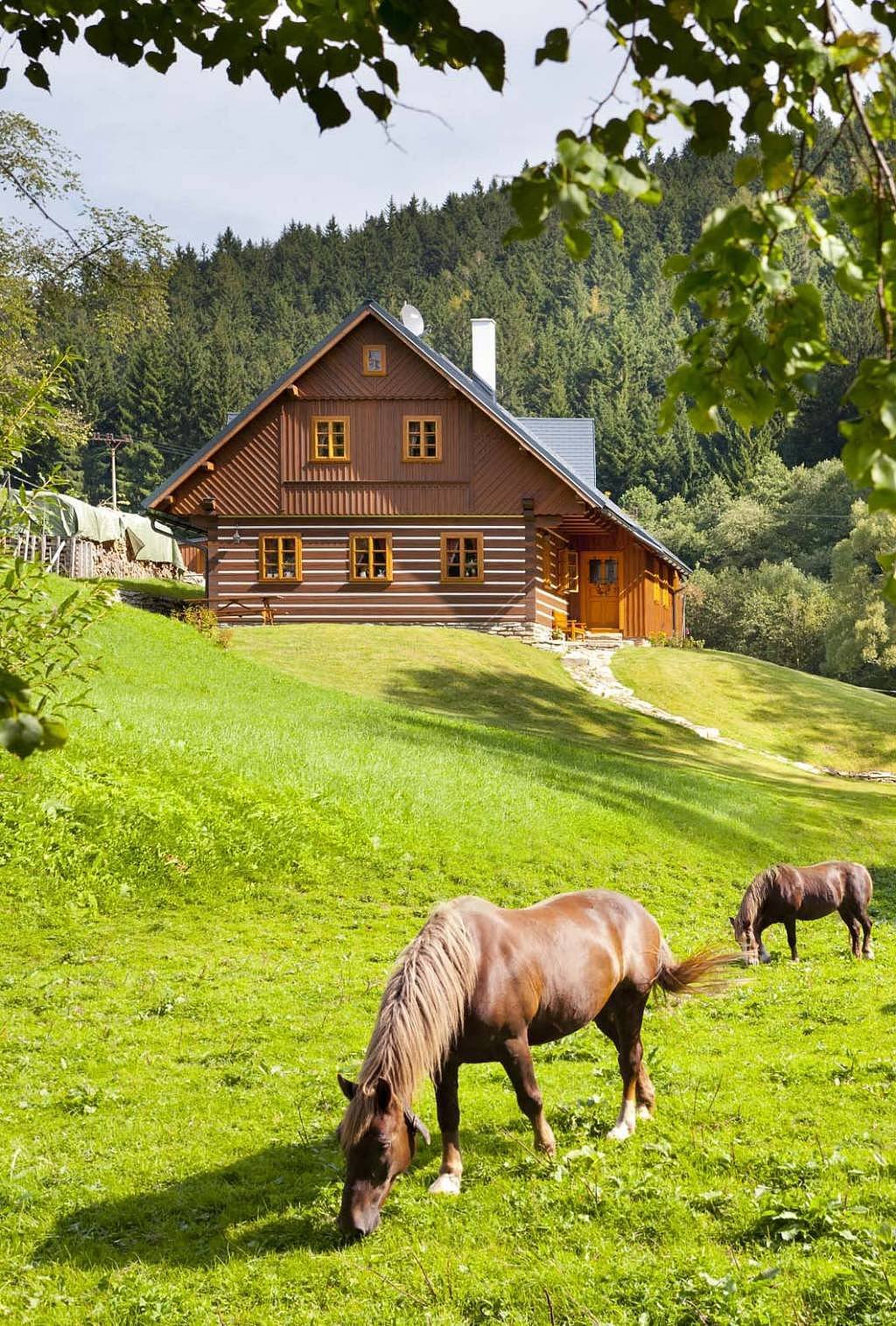 Drevenica Lysečinky A - Horní Lysečiny