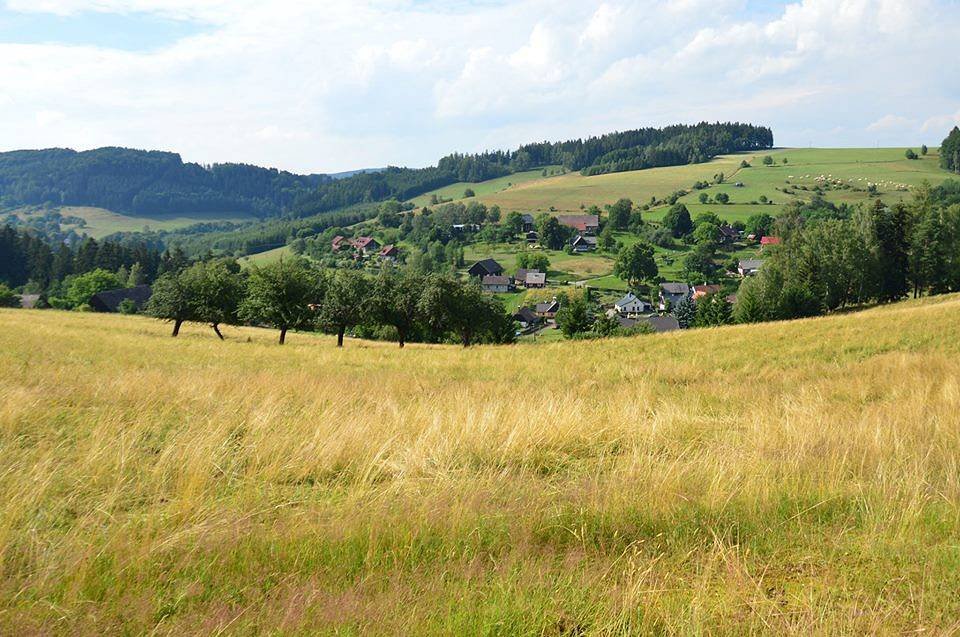 Malebné údolí vesničky Dolní Javoří