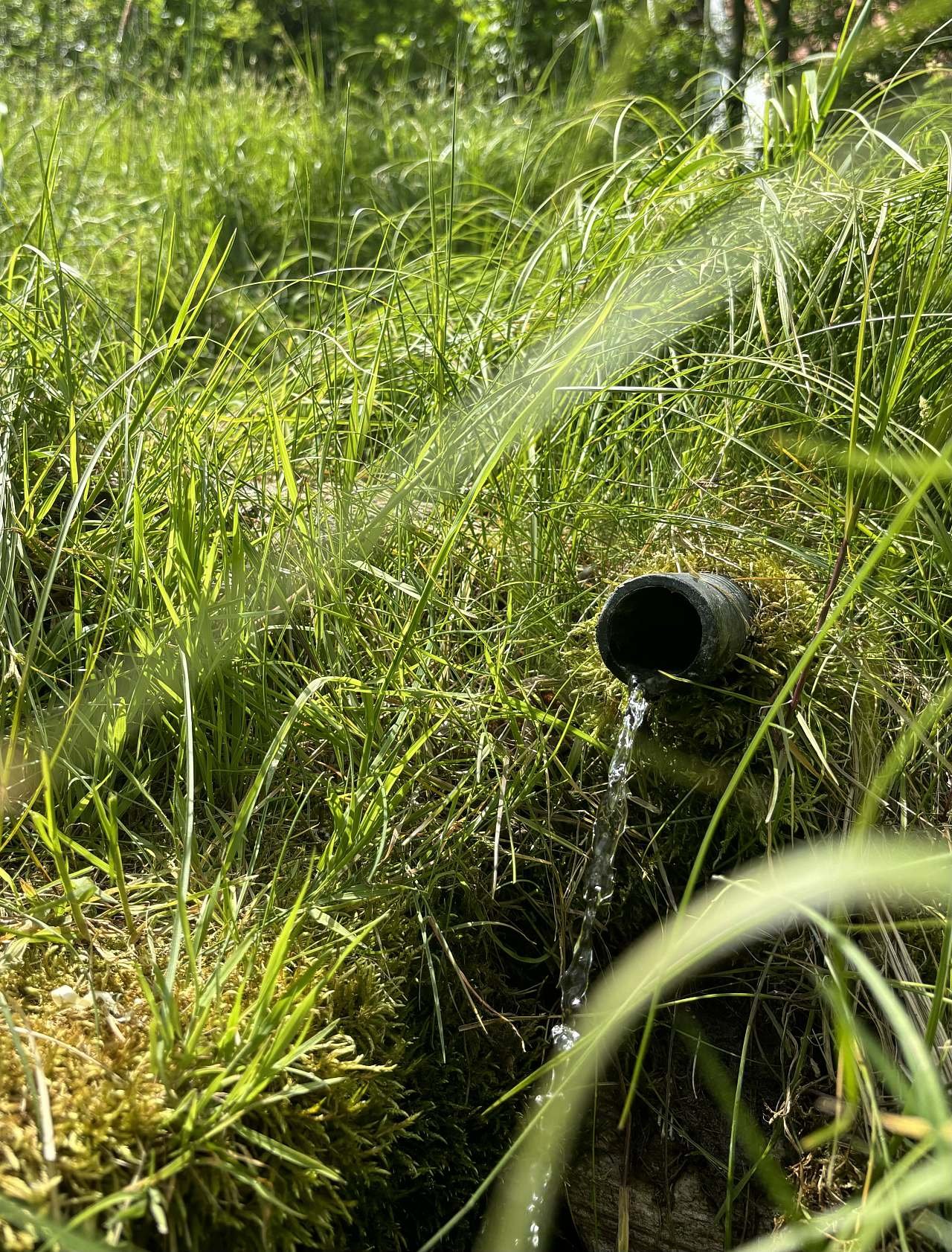 Maringotka Podnebesí - vlastní pramen pitné vody - Šumava