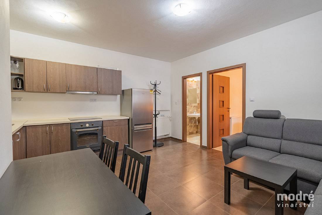Modré vinařství, apartmán 1, přízemí