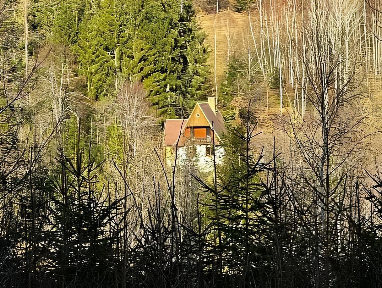 Na samotě u lesa - Doubrava - Šumava