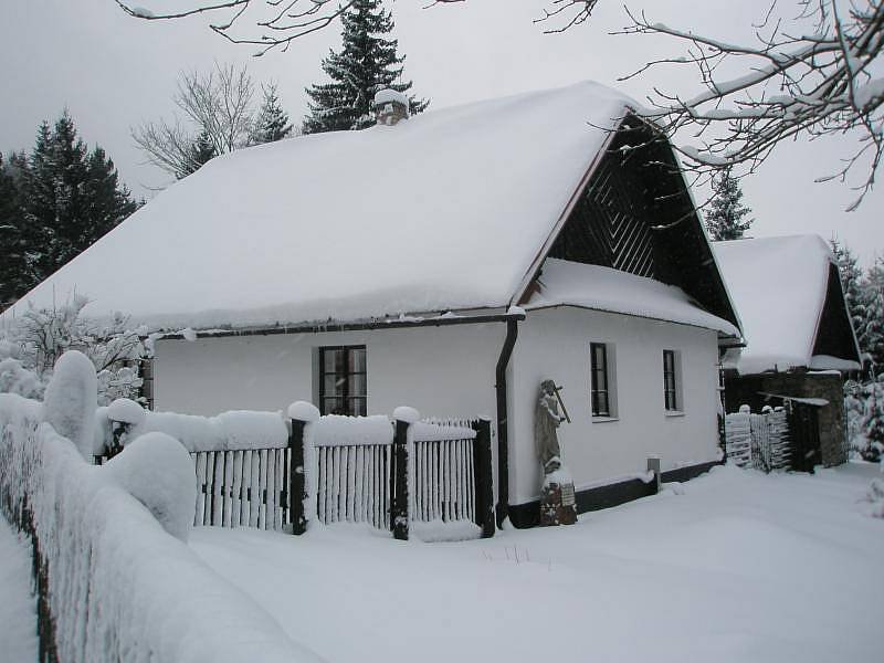Obytná budova a část zahrady v zimě