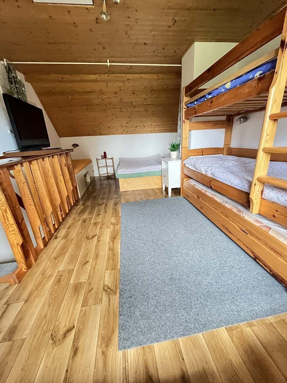 obývací ložnice