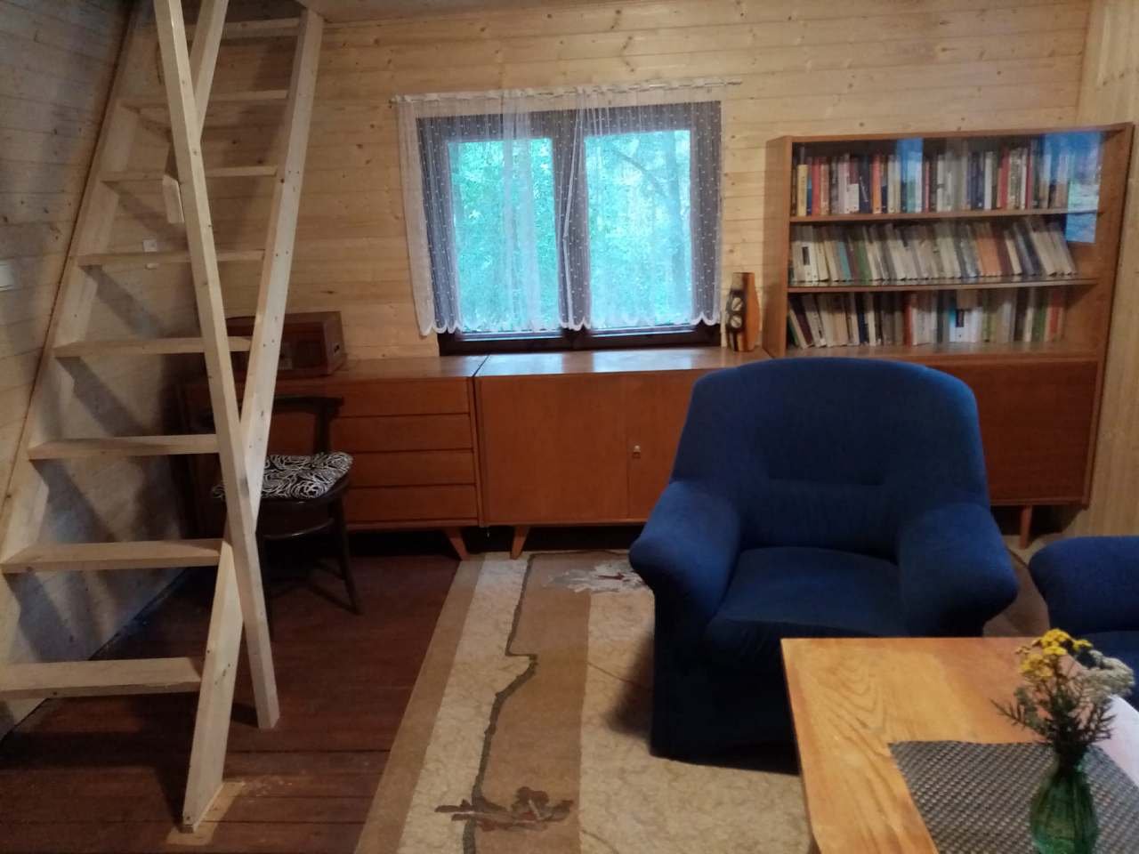 obývací pokoj s knihovnou