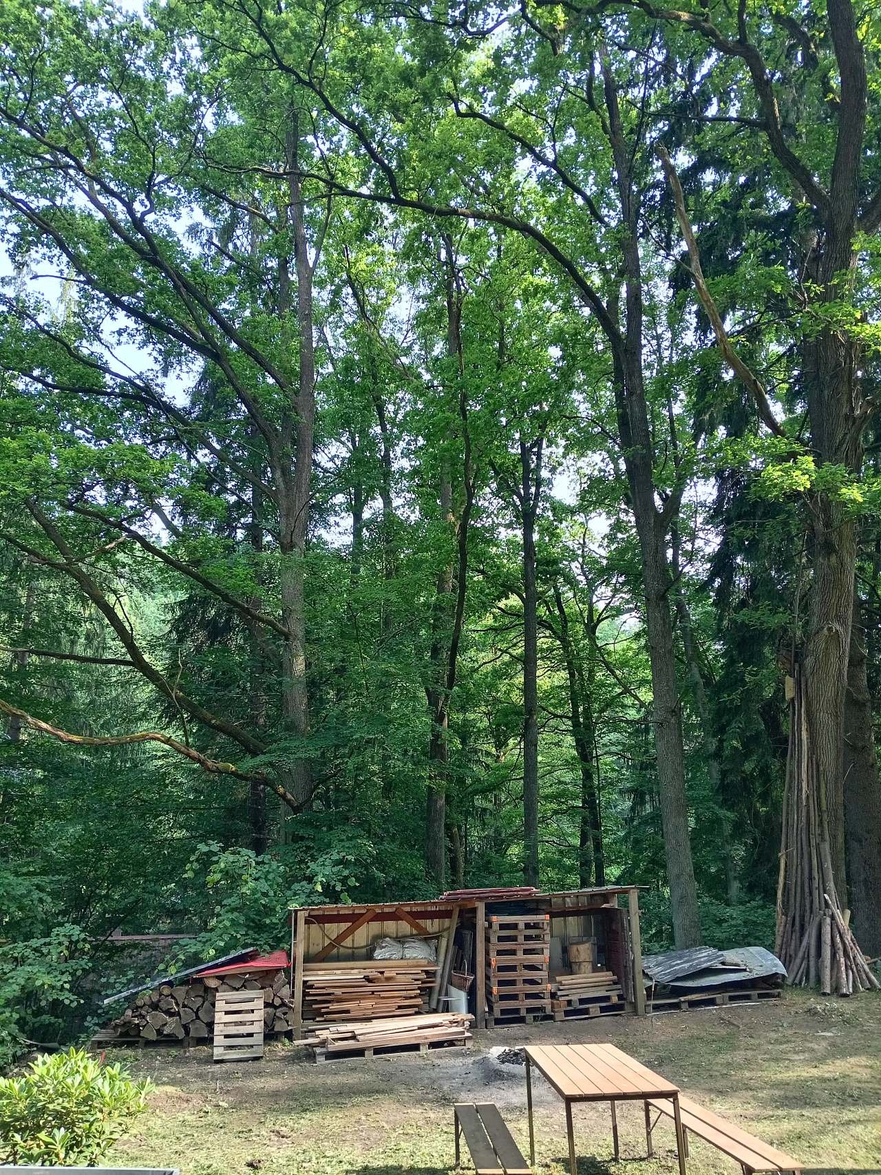 Ohniště