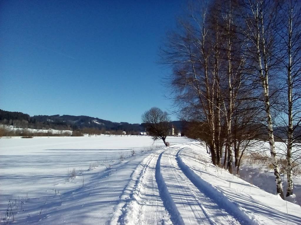 Pěkná v zimě od Vltavy